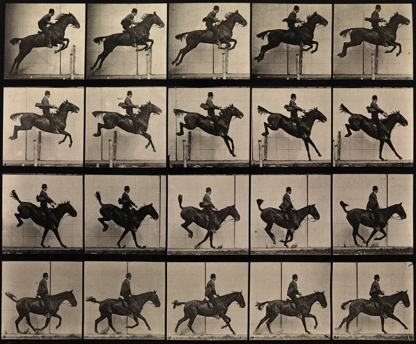 1 Muybridge, Photographic study of a man jumping a horse