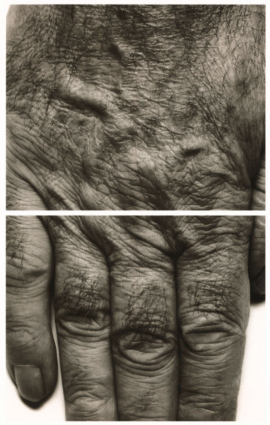 22 john-coplans-self-portrait-hands-1988